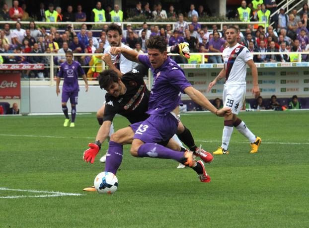 L'azione nella quale Mario Gomez si  infortunato al ginocchio durante la partita Fiorentina-Cagliari (1-1). Dopo aver aver calciato alto,  il portiere del Cagliari gli  piombato addosso. L'ex Bayern Monaco   caduto male, con una torsione innaturale del ginocchio destro. Ansa